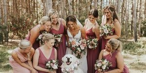 Who to call if your dog needs a date to your wedding