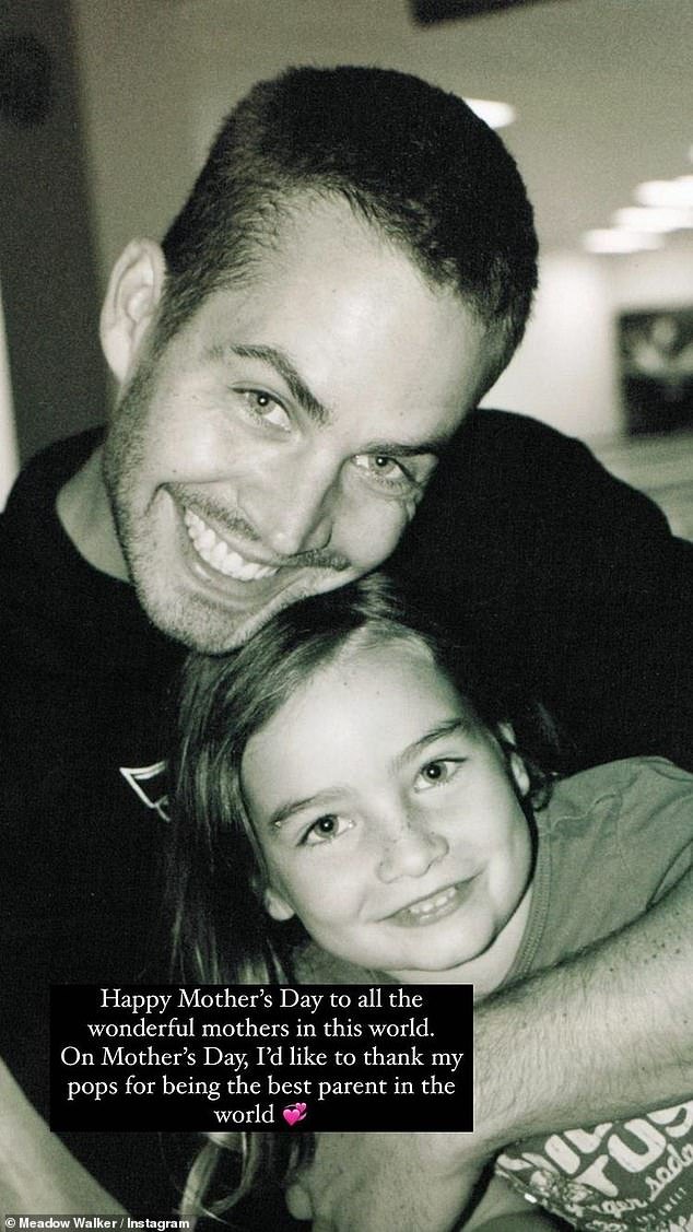 Loss: Fast & Furious actor Paul (pictured) perished, aged 40, in 2013. Meadow was only 15 when the action star died
