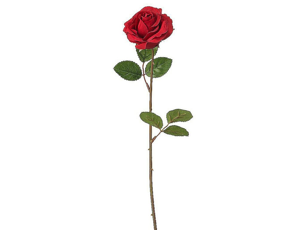 Most expensive flower in the world